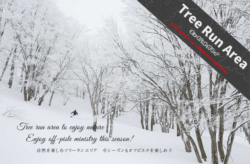 ウィンター | 【公式】新潟県上越市のスキー場：キューピットバレイ